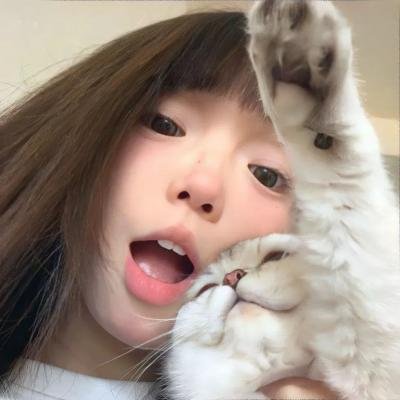 丛林小屋